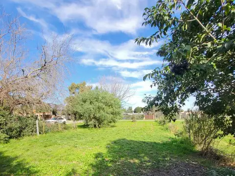 Terreno en Venta de 315,0 m2