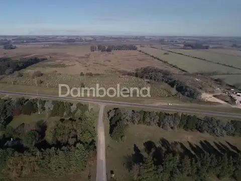 Terreno en Alquiler de 56000,0 m2