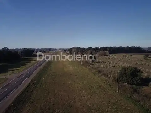 Ruta Nacional 193 100