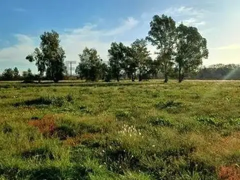 Girardot 100, Piso 0