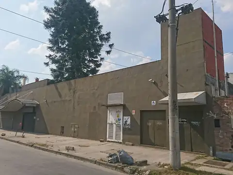 Concejal Tribulato 100