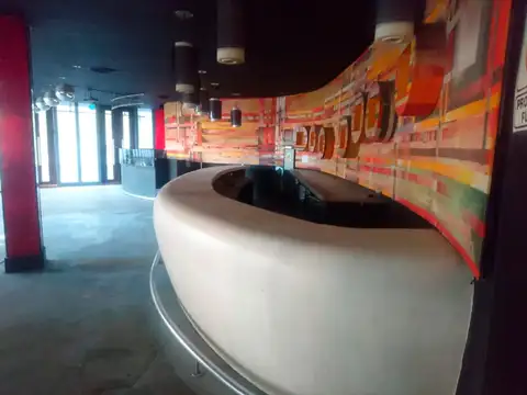 Concejal Tribulato 100