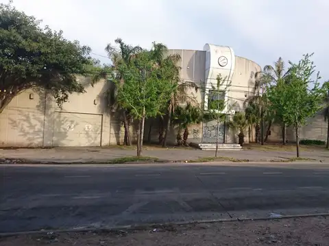 Concejal Tribulato 100