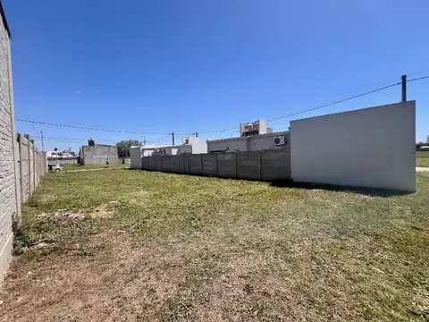 Aaron Catellanos 1100