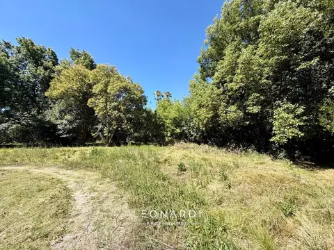 Terreno en Venta de 310,0 m2