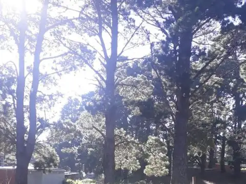 Terreno en Venta en Centro, USD 12.000