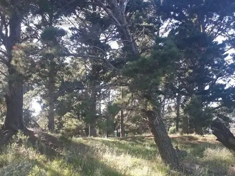 VENTA DE ESTUPENDO TERRENO EN VILLA GESELL