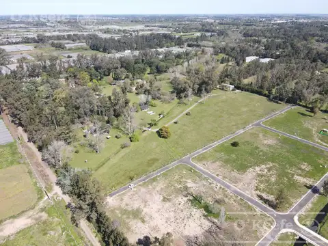 Terreno en Venta de 250,0 m2