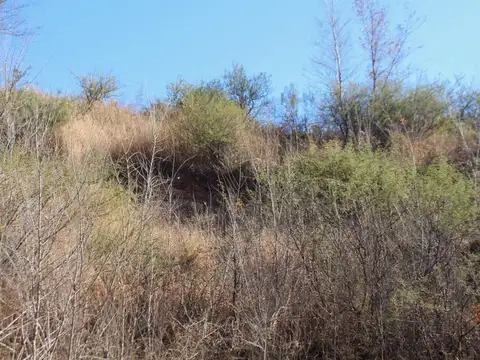 Terreno en Venta en Villa Parque Siquiman, USD 12.000