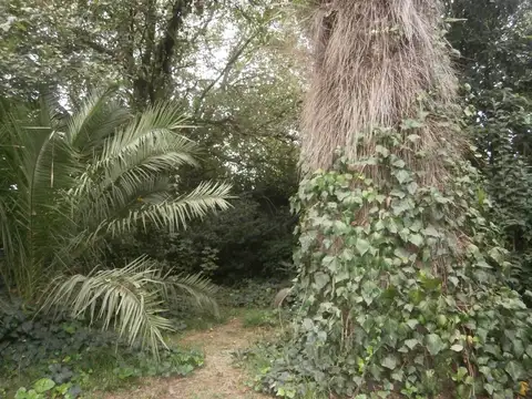 Terreno en Venta de 1125,0 m2