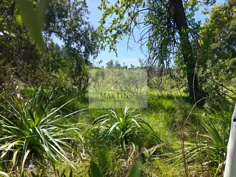 Terreno en Venta de 17556,0 m2