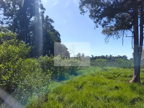 Terreno en Venta en La Lonja, USD 1.800.000