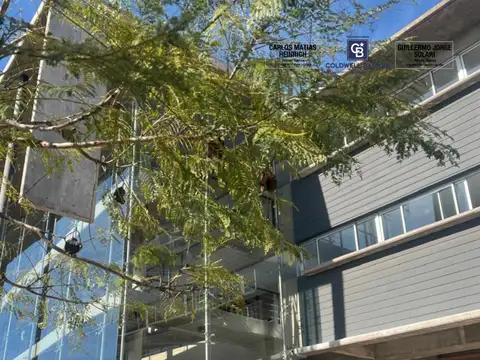 Art Gallery - Ana Mogas  al 100