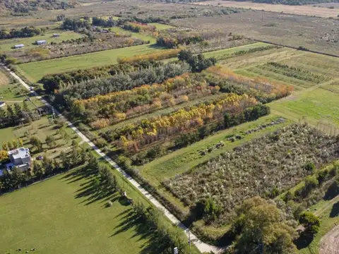 CAMPO EN VENTA ARANA  DE 17,42 HECTÁREAS