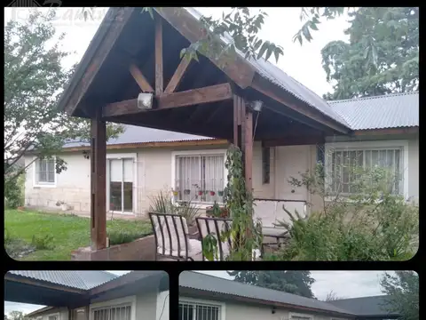 Los mirasoles al 200