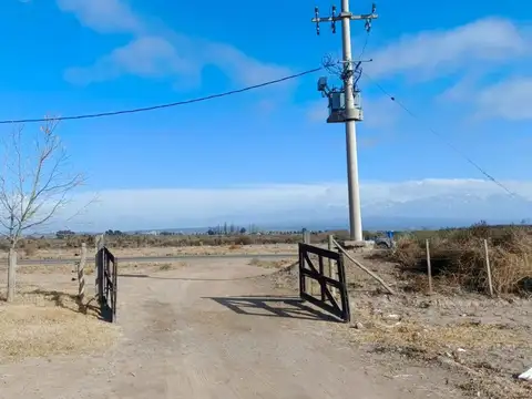 Fincas y unidad productiva en venta en Mendoza