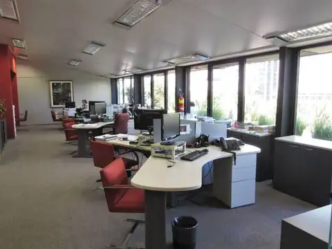 Oficina en Alquiler 20 años