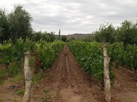 Finca en venta en Maipú Lunlunta