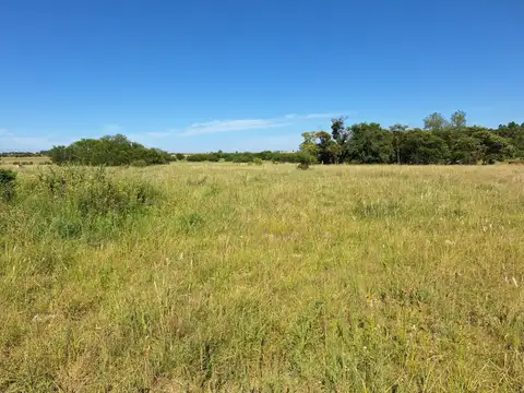 Terreno en Venta en Colonia Hocker, USD 40.000