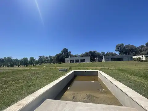 Casuarinas del Pilar 100