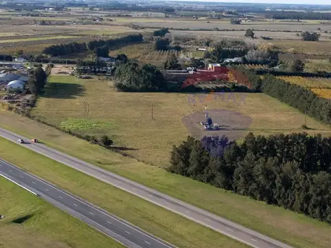 ALQUILER PREDIO SUBURBANO DE 1 HA PROGRESO