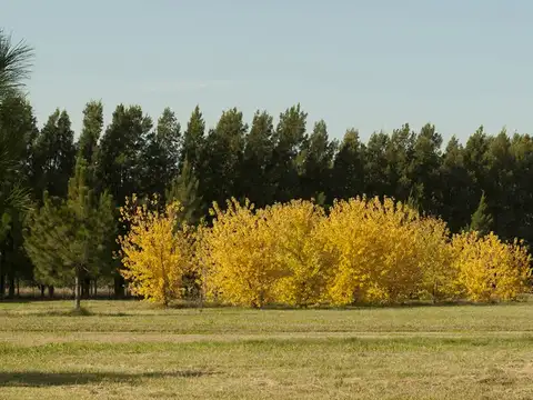 Terreno Lote  en Venta en Club de Campos Las Hojas, Marcos Paz, G.B.A. Zona Oeste