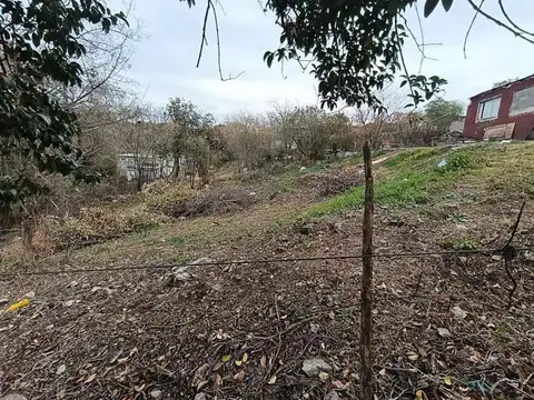 Pueblos Originarios 100