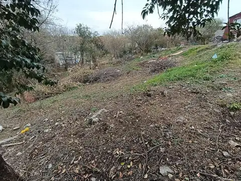 Pueblos Originarios 100