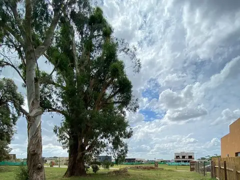 Terreno en Venta de 500,0 m2