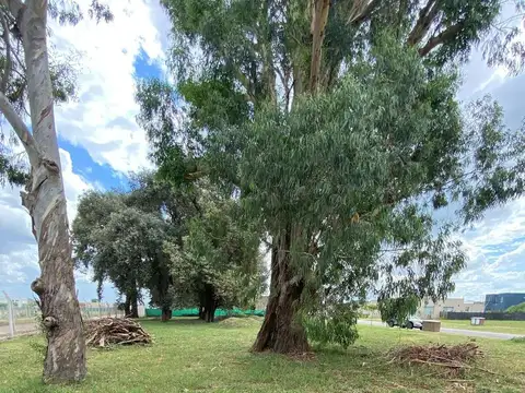 Terreno en Venta en Pilar del Este - San Ramon, USD 49.000