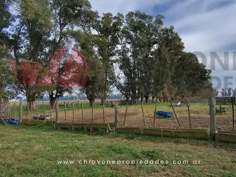 Campo Ganadero c/Sistema Voisin – Gral Las Heras, BS AS