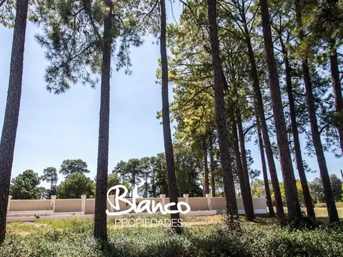 Terreno en Venta, FOT 1