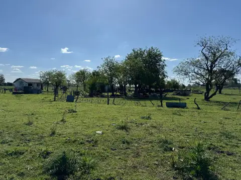Vendo Campo de 4,2 hectáreas en Villa Elisa, Colón, Entre Ríos.