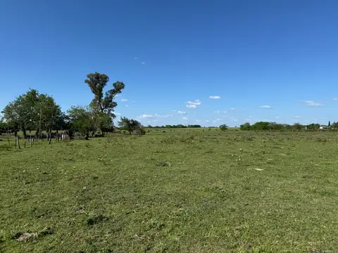 Vendo Campo de 4,2 hectáreas en Villa Elisa, Colón, Entre Ríos.