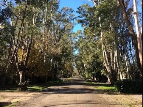 Terreno en Venta 42  mts Fondo