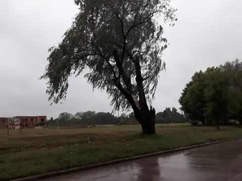 Terreno en Venta en Jose Clemente Paz, USD 22.000