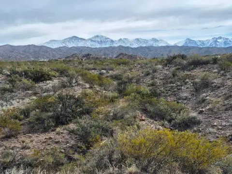 VENTA DE LOTE EN POTRERILLOS MENDOZA
