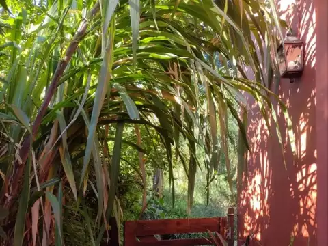 Lsh.av Libertador Casa 2000