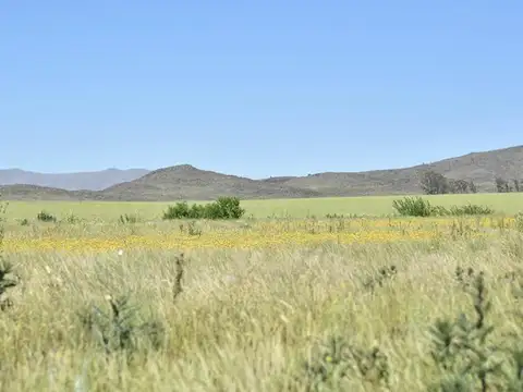 Terreno en Venta en Sierra De La Ventana, USD 45.000