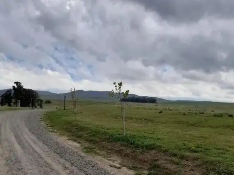 Terreno en Venta de 800,0 m2