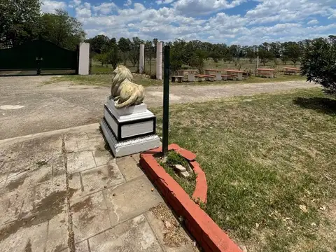 VENTA CAMPO VARIOS USOS COMERCIAL