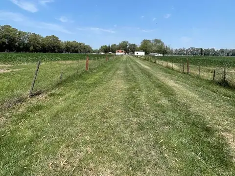 VENTA CAMPO VARIOS USOS COMERCIAL