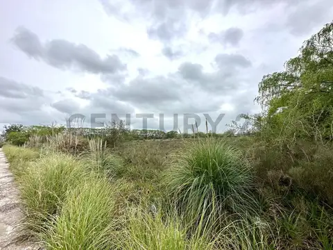 Ruta 25 y Av. San Fernando 100, Piso 0