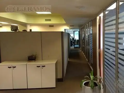 ALEM LEANDRO NICEFORO  N°896 -Piso  12