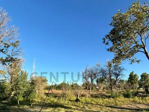 Ortubia 3300, Piso 0