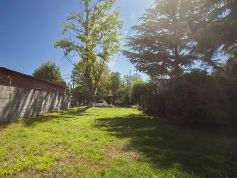 Terreno en Venta de 320,0 m2