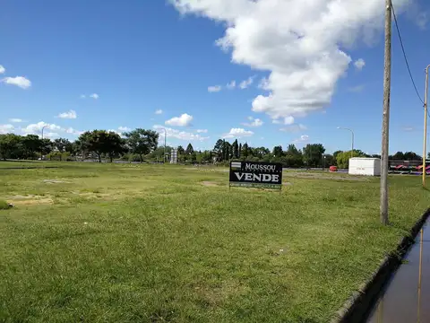 Manz. Goldaracena,Tiscornia,San lorenzo y Tala