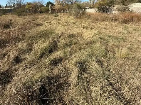 Terreno en Venta en Villa Del Prado, USD 10.000