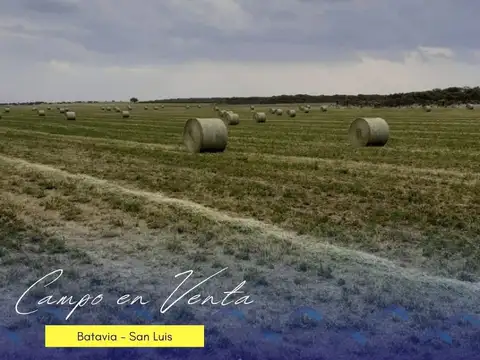 Campo en Venta – Batavia, San Luis