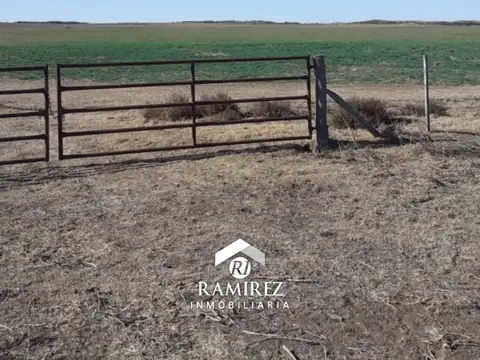 Campo en Venta Mixto